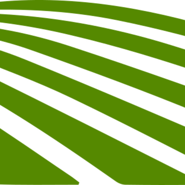 67 Rice Field Thumbnail