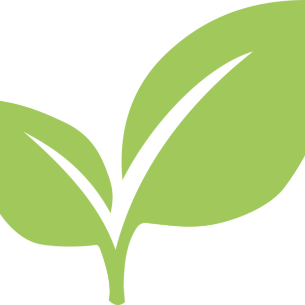 Leaves 6 Thumbnail