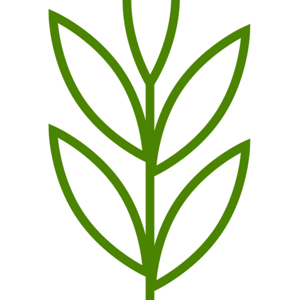 Leaves 4 Thumbnail