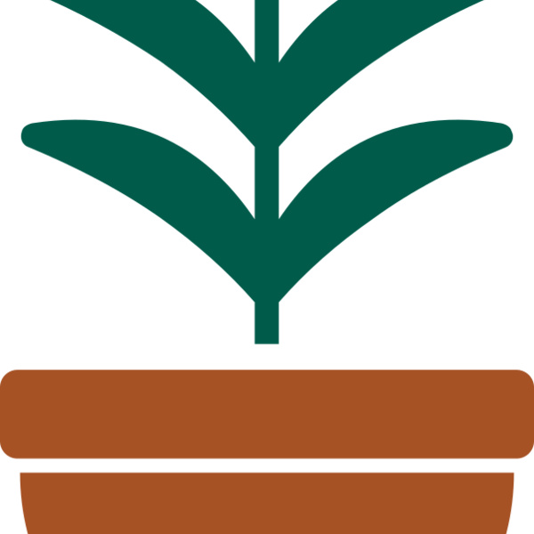 Plant 2 Thumbnail