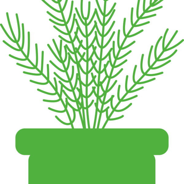Herb Thumbnail