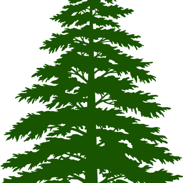 Tree Plant 3 Thumbnail