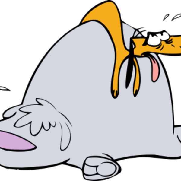 2 oopid Dogs (0197) Thumbnail