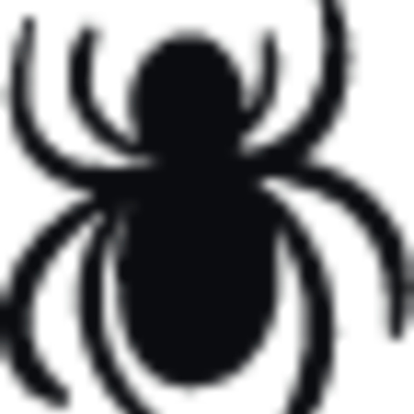 spider Thumbnail