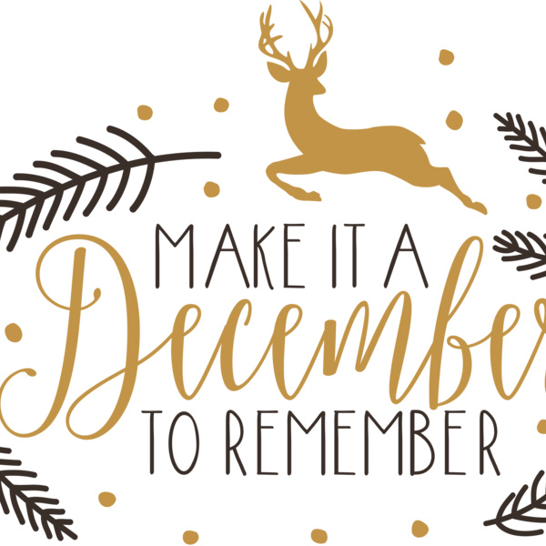 December To Remember (0654) Thumbnail
