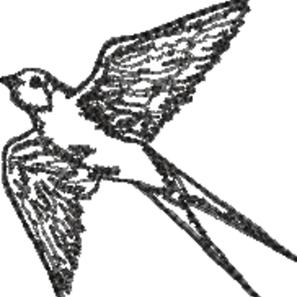 Sparrow Flying Up (0332) Thumbnail