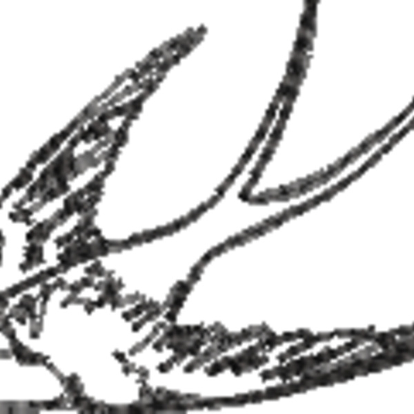 Sparrow Line Art (0302) Thumbnail