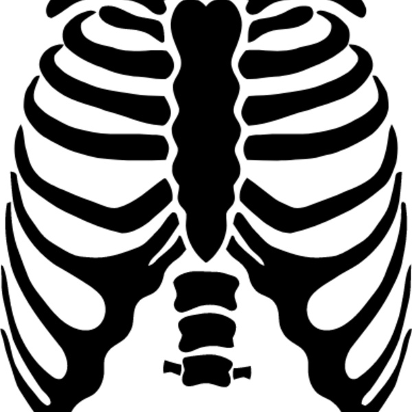 Rib cage 2 Thumbnail