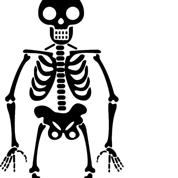 Skeleton 2 Thumbnail