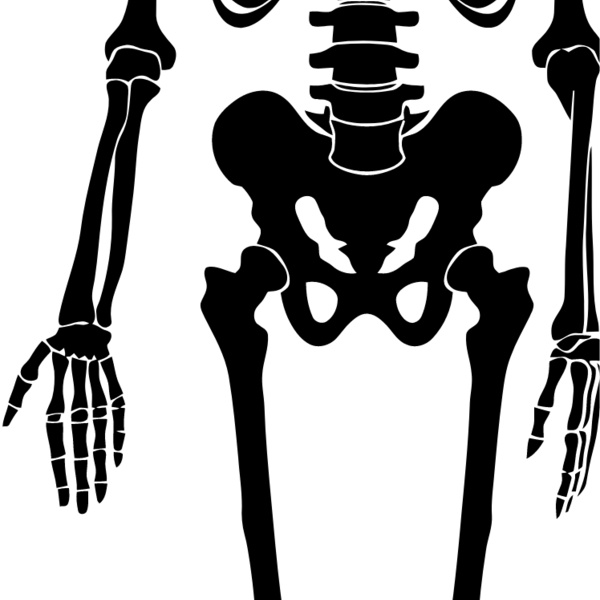 Skeleton 7 Thumbnail