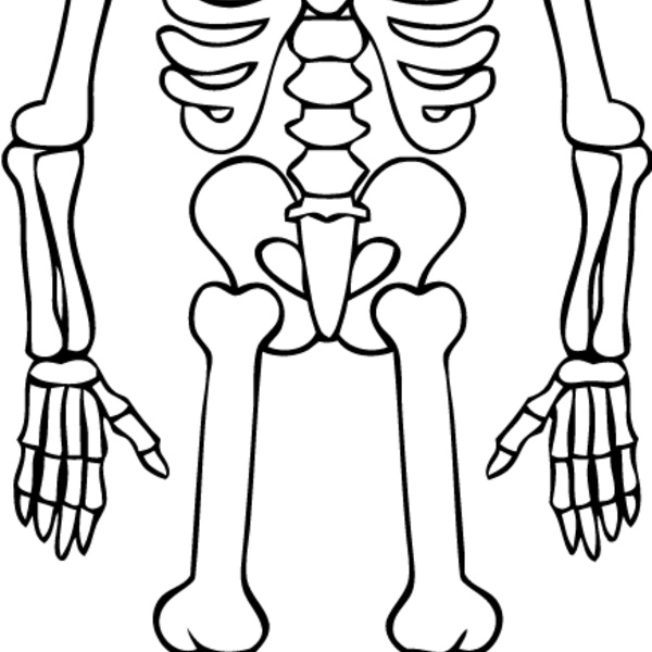 Skeleton 5 Thumbnail