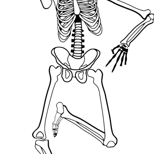 Skeleton yo Thumbnail