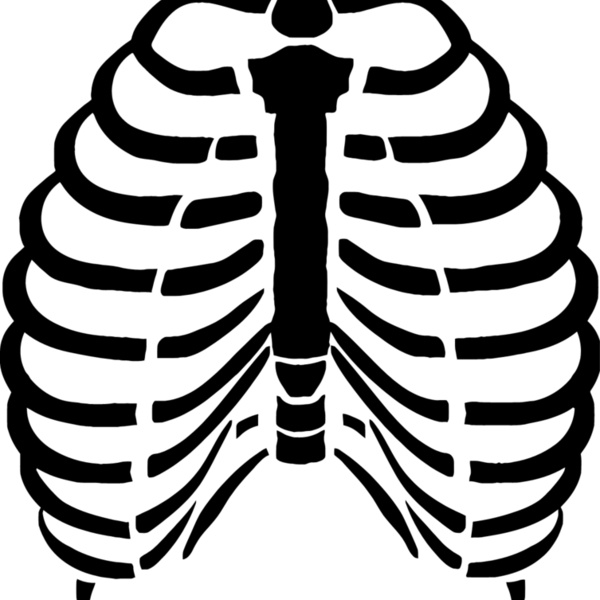 Rib cage 4 Thumbnail
