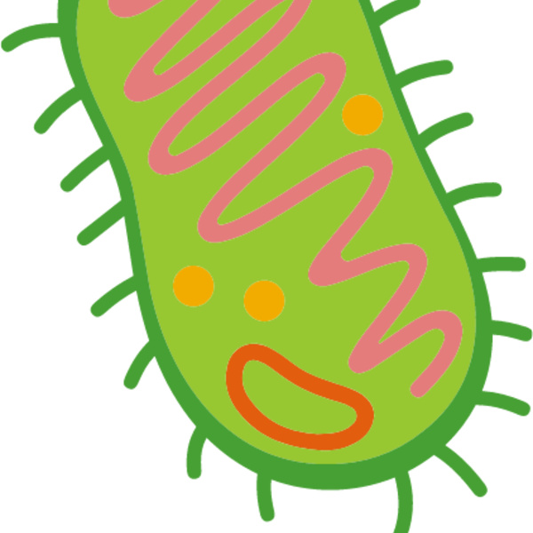 Bacteria Cell Thumbnail
