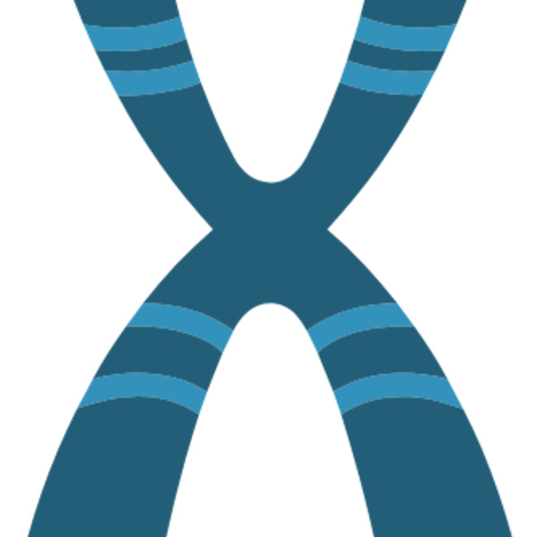 Chromosome Thumbnail