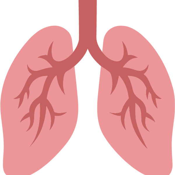 Lungs Thumbnail