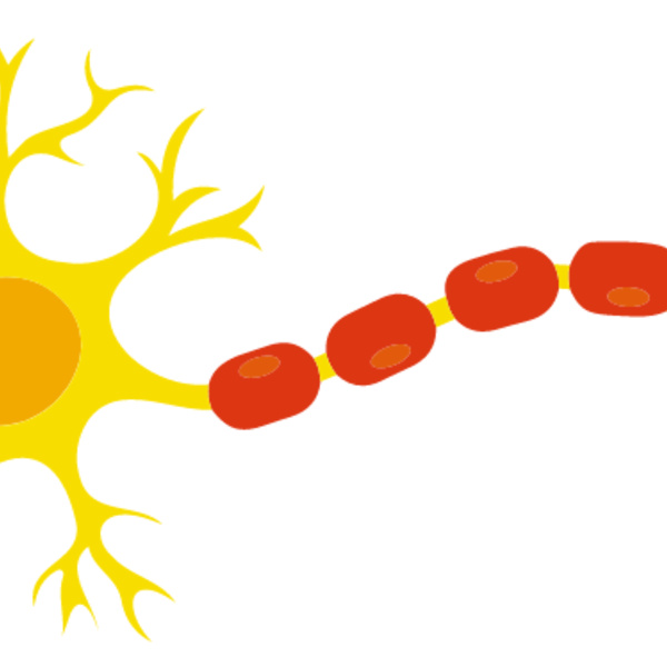 Neuron Thumbnail