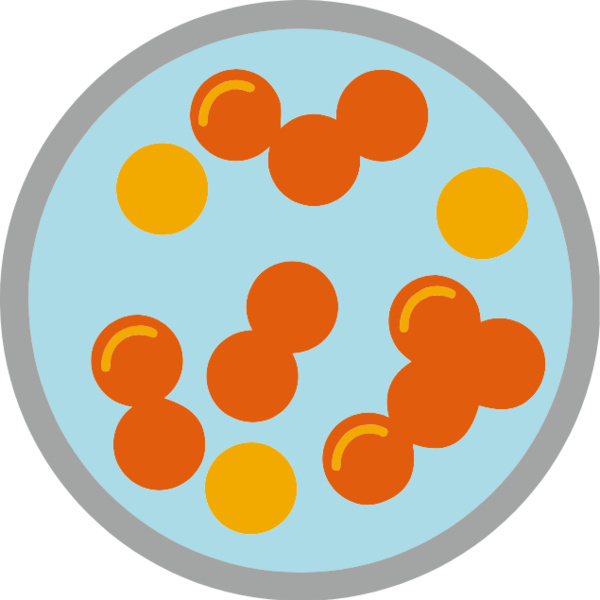 Petri Dish Orange Thumbnail