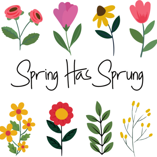 Spring Has Sprung Thumbnail