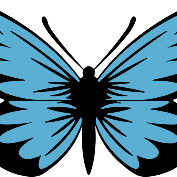 Blue Butterfly Thumbnail