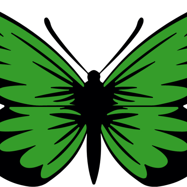 Green Butterfly Thumbnail