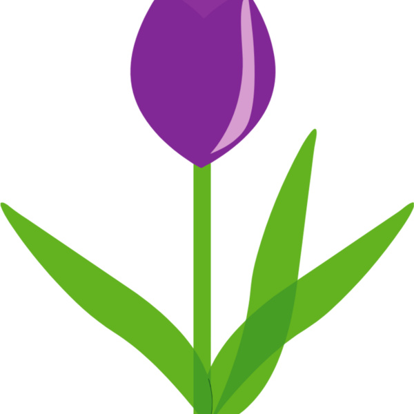 Tulip Flower Thumbnail