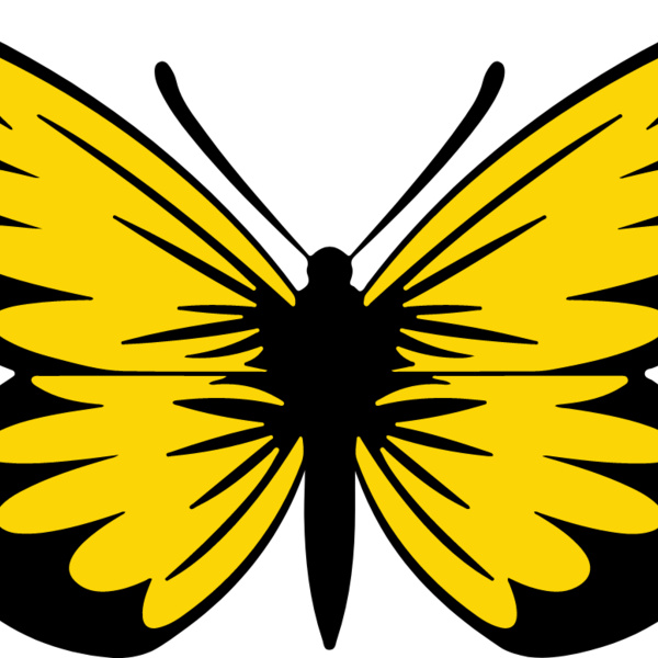 Yellow Butterfly Thumbnail