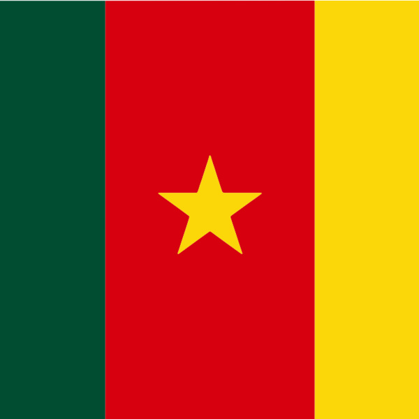 Cameroon Flag Thumbnail