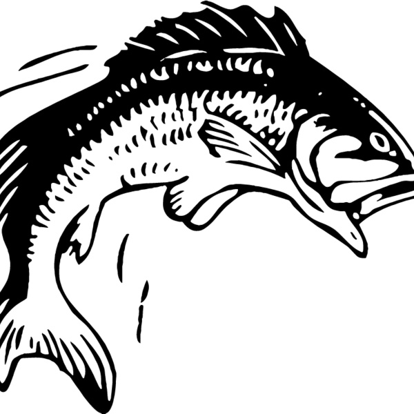 Jumping Bass Thumbnail