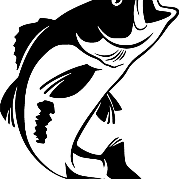 Plain Bass Fish Thumbnail