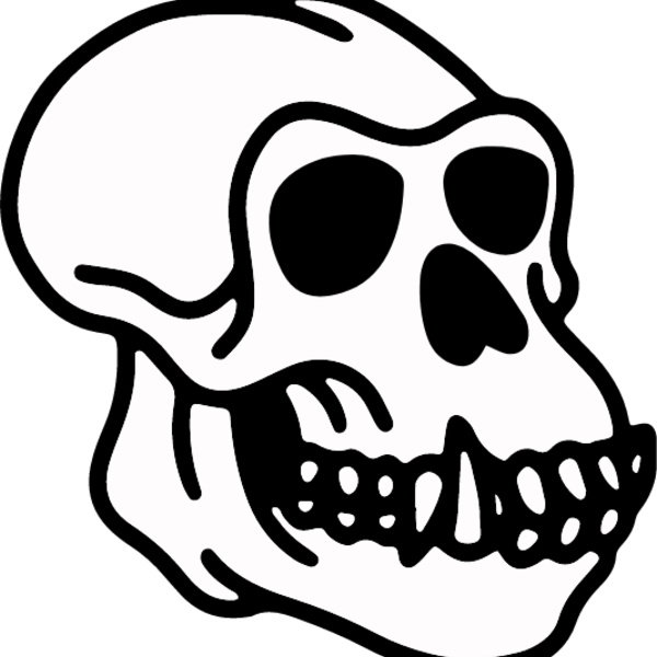 Homosapien Skull Thumbnail