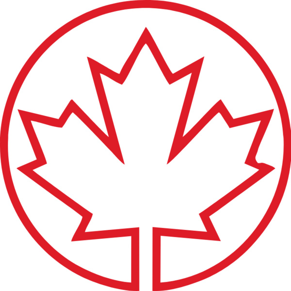 CA FLAG 03 Thumbnail