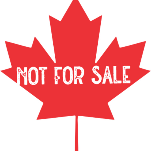 not for sale 01 Thumbnail