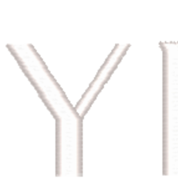 LAYRD LOGO HAT Thumbnail