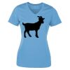 ATC Pro Team Polyester Short Sleeve Ladies' Tee Thumbnail