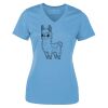 ATC Pro Team Polyester Short Sleeve Ladies' Tee Thumbnail