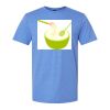  Men/Unisex Softstyle Lightweight T-Shirt Thumbnail