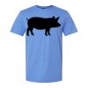  Men/Unisex Softstyle Lightweight T-Shirt Thumbnail
